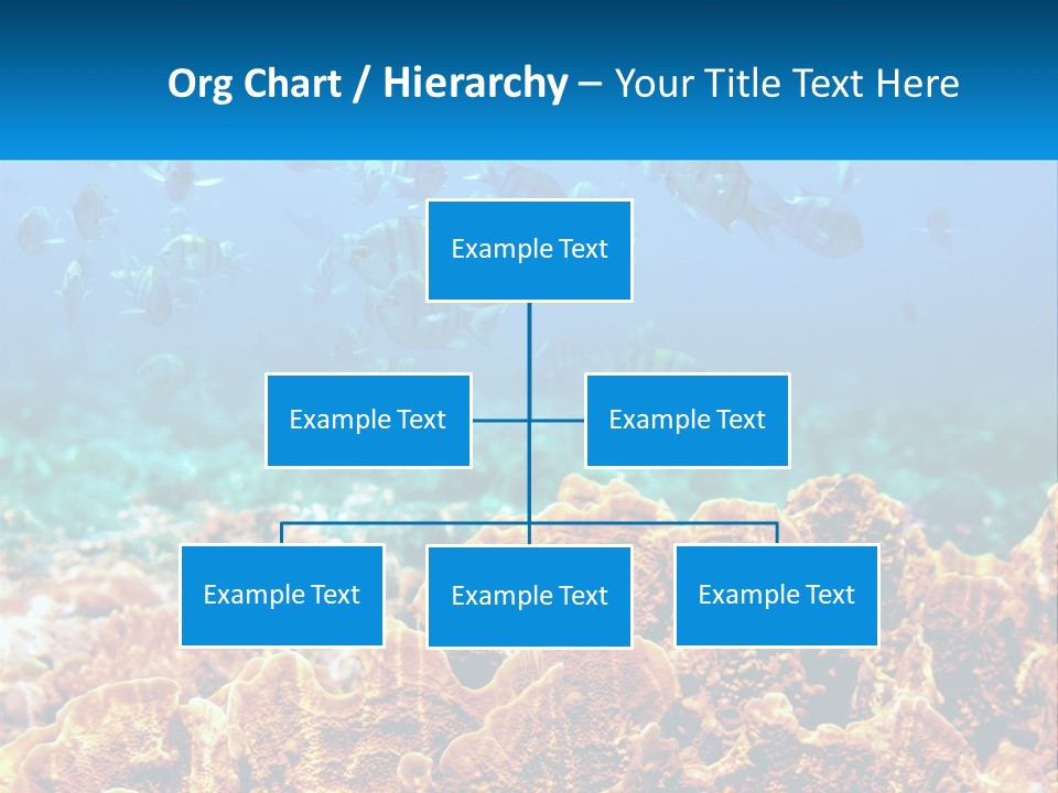 A Group Of Fish Swimming Over A Coral Reef PowerPoint Template
