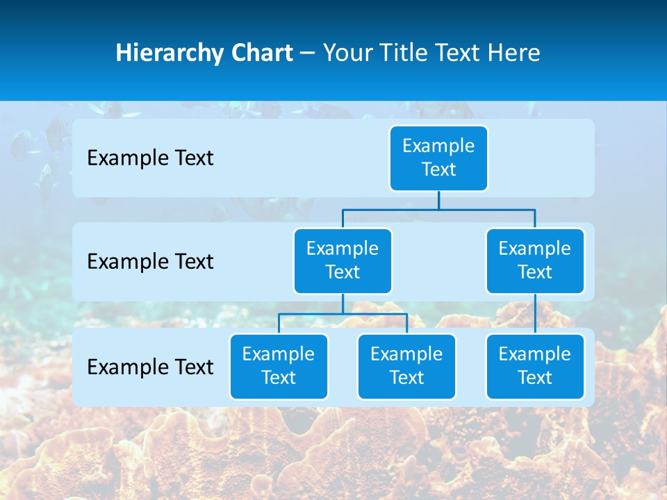 A Group Of Fish Swimming Over A Coral Reef PowerPoint Template