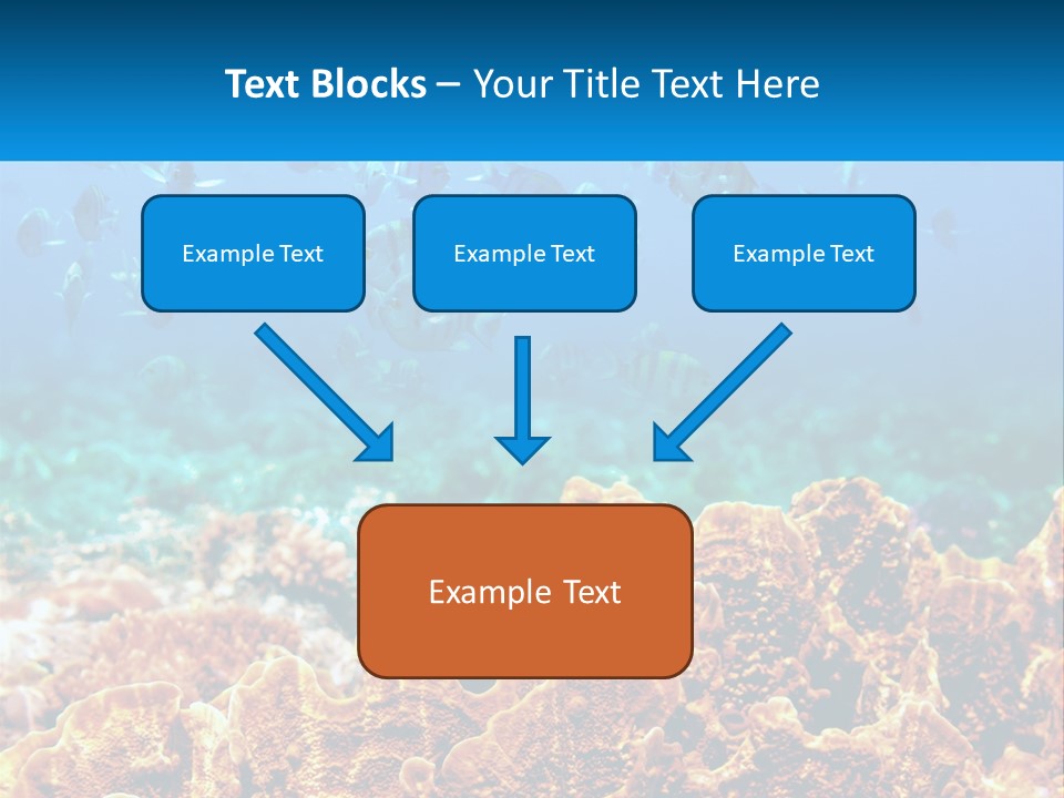 A Group Of Fish Swimming Over A Coral Reef PowerPoint Template