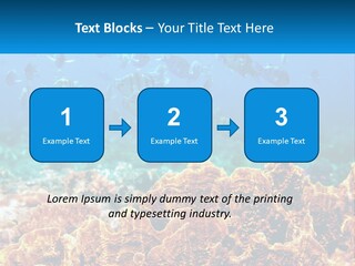 A Group Of Fish Swimming Over A Coral Reef PowerPoint Template
