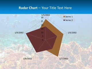 A Group Of Fish Swimming Over A Coral Reef PowerPoint Template