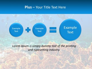 A Group Of Fish Swimming Over A Coral Reef PowerPoint Template