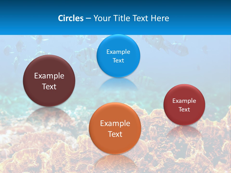 A Group Of Fish Swimming Over A Coral Reef PowerPoint Template