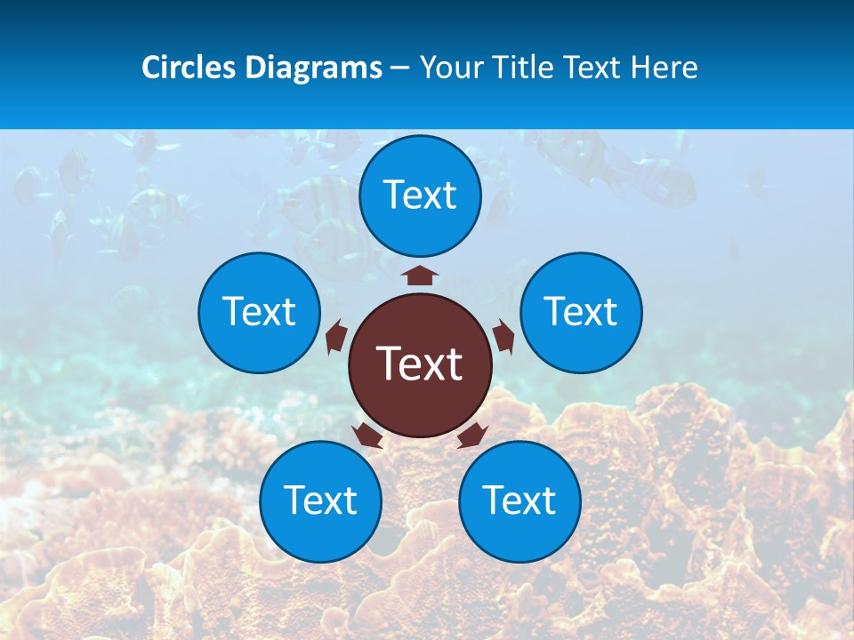 A Group Of Fish Swimming Over A Coral Reef PowerPoint Template