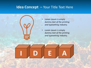 A Group Of Fish Swimming Over A Coral Reef PowerPoint Template