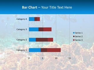 A Group Of Fish Swimming Over A Coral Reef PowerPoint Template