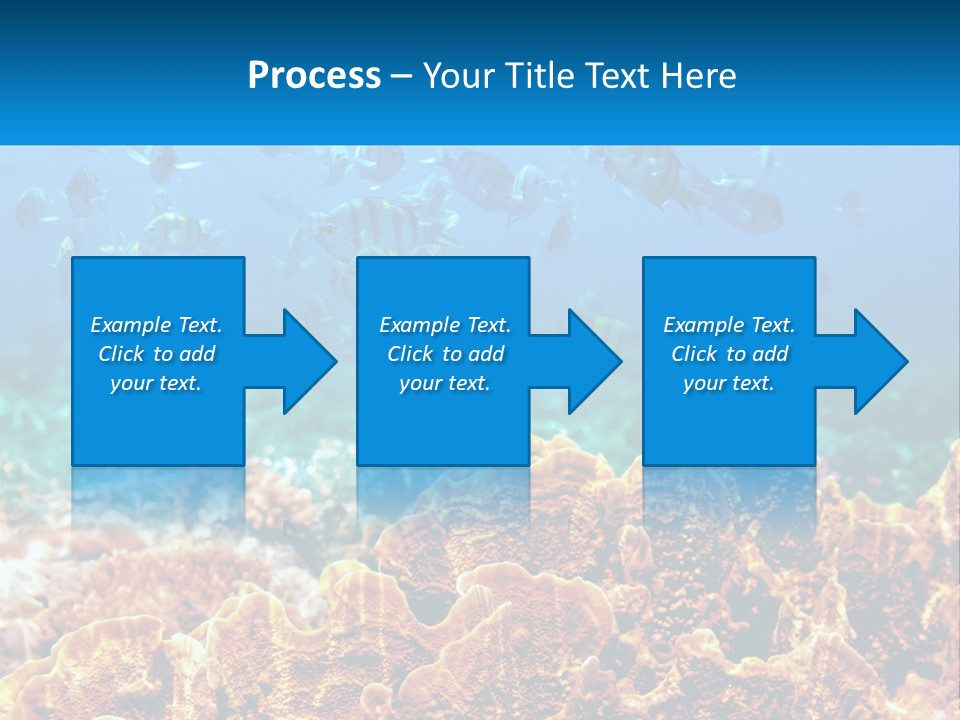 A Group Of Fish Swimming Over A Coral Reef PowerPoint Template