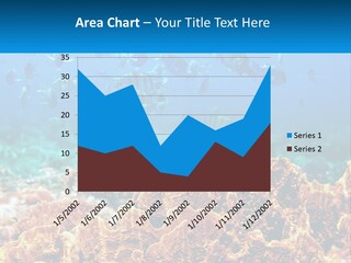 A Group Of Fish Swimming Over A Coral Reef PowerPoint Template