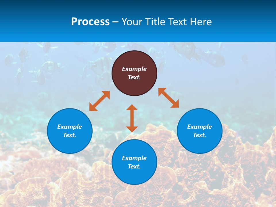 A Group Of Fish Swimming Over A Coral Reef PowerPoint Template