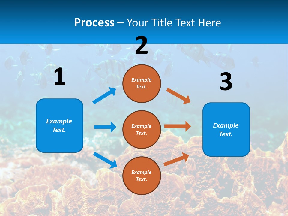 A Group Of Fish Swimming Over A Coral Reef PowerPoint Template