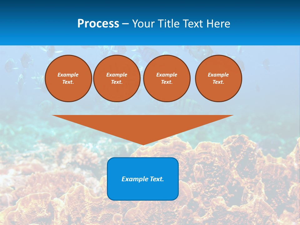 A Group Of Fish Swimming Over A Coral Reef PowerPoint Template