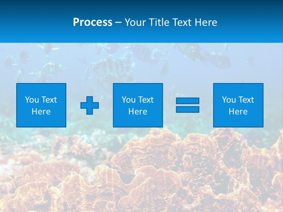 A Group Of Fish Swimming Over A Coral Reef PowerPoint Template