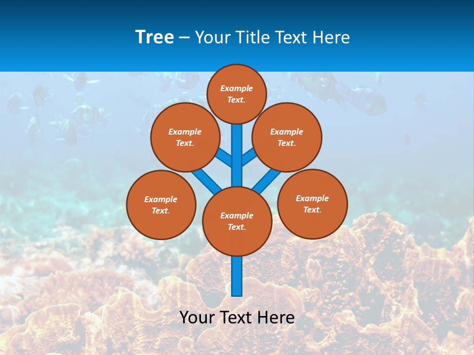 A Group Of Fish Swimming Over A Coral Reef PowerPoint Template