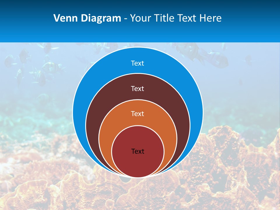 A Group Of Fish Swimming Over A Coral Reef PowerPoint Template