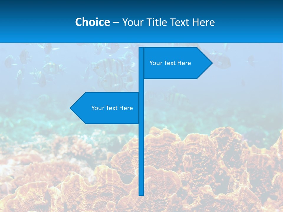 A Group Of Fish Swimming Over A Coral Reef PowerPoint Template