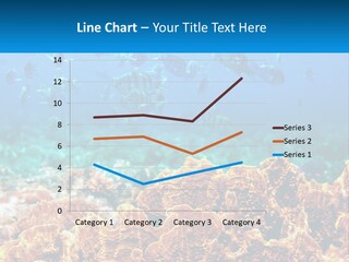 A Group Of Fish Swimming Over A Coral Reef PowerPoint Template