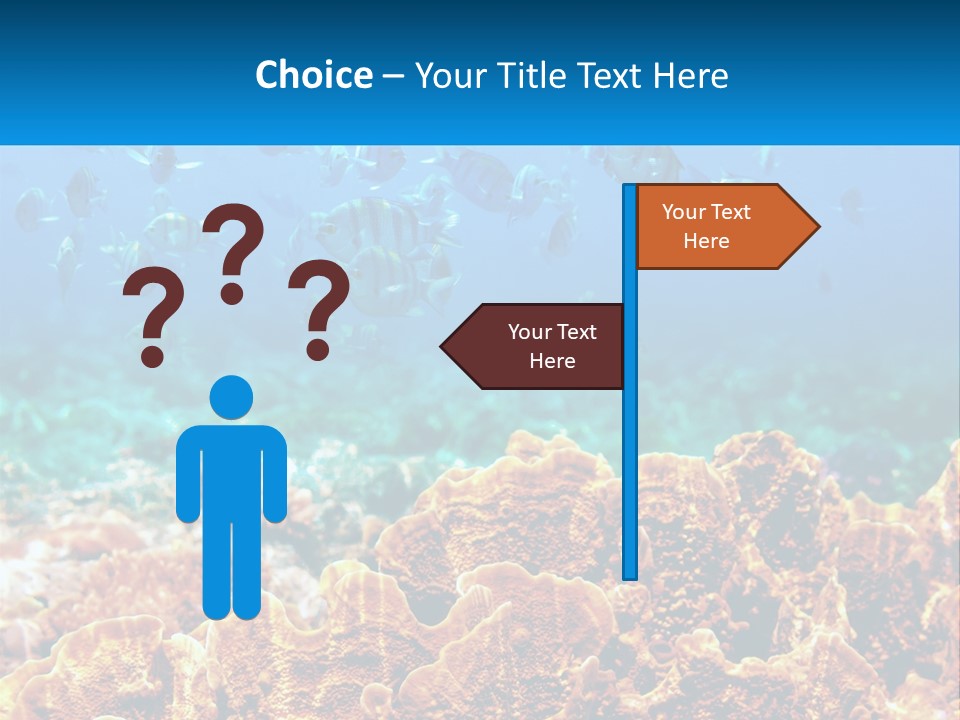 A Group Of Fish Swimming Over A Coral Reef PowerPoint Template