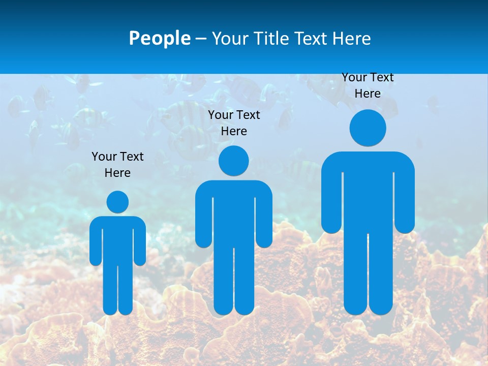 A Group Of Fish Swimming Over A Coral Reef PowerPoint Template