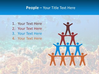 A Group Of Fish Swimming Over A Coral Reef PowerPoint Template