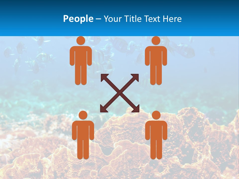 A Group Of Fish Swimming Over A Coral Reef PowerPoint Template
