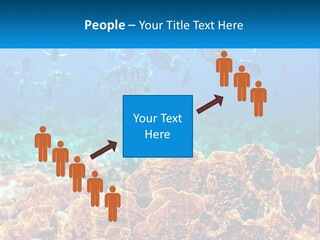 A Group Of Fish Swimming Over A Coral Reef PowerPoint Template