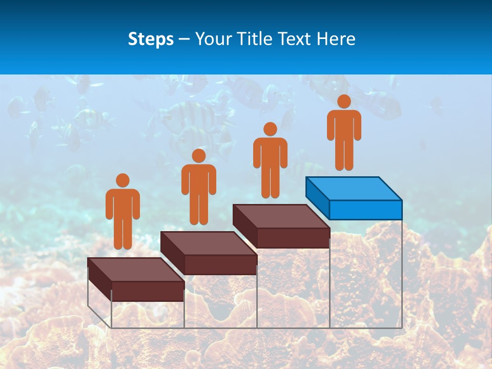 A Group Of Fish Swimming Over A Coral Reef PowerPoint Template