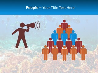 A Group Of Fish Swimming Over A Coral Reef PowerPoint Template