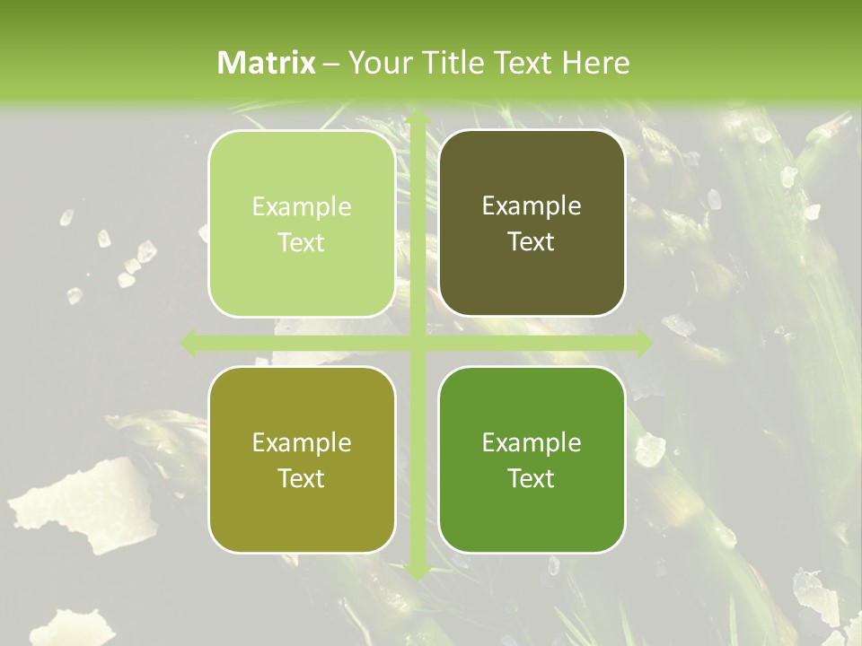 A Plate Of Asparagus With Parmesan Cheese On Top PowerPoint Template