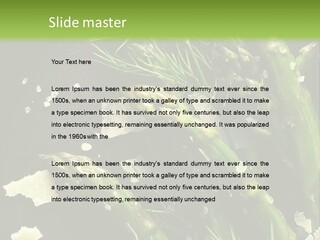 A Plate Of Asparagus With Parmesan Cheese On Top PowerPoint Template