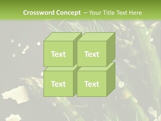 A Plate Of Asparagus With Parmesan Cheese On Top PowerPoint Template