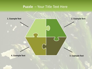 A Plate Of Asparagus With Parmesan Cheese On Top PowerPoint Template