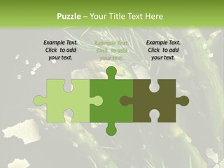 A Plate Of Asparagus With Parmesan Cheese On Top PowerPoint Template