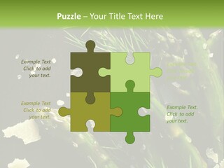 A Plate Of Asparagus With Parmesan Cheese On Top PowerPoint Template