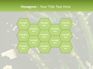 A Plate Of Asparagus With Parmesan Cheese On Top PowerPoint Template