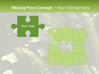 A Plate Of Asparagus With Parmesan Cheese On Top PowerPoint Template