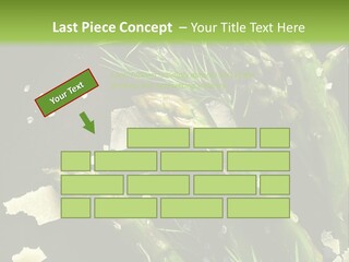 A Plate Of Asparagus With Parmesan Cheese On Top PowerPoint Template