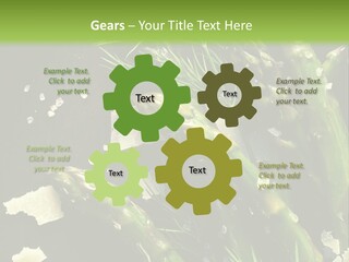 A Plate Of Asparagus With Parmesan Cheese On Top PowerPoint Template