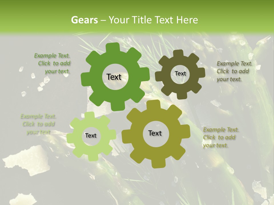 A Plate Of Asparagus With Parmesan Cheese On Top PowerPoint Template