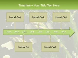 A Plate Of Asparagus With Parmesan Cheese On Top PowerPoint Template