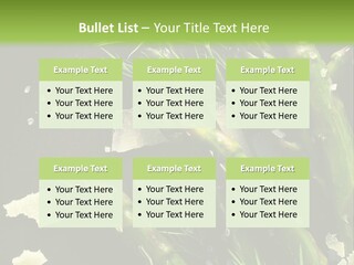 A Plate Of Asparagus With Parmesan Cheese On Top PowerPoint Template