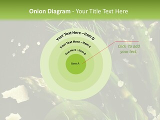 A Plate Of Asparagus With Parmesan Cheese On Top PowerPoint Template