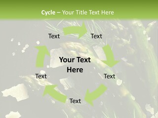 A Plate Of Asparagus With Parmesan Cheese On Top PowerPoint Template
