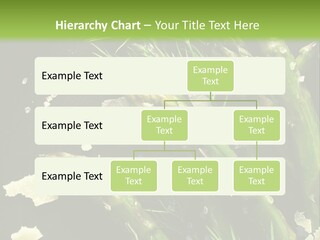 A Plate Of Asparagus With Parmesan Cheese On Top PowerPoint Template