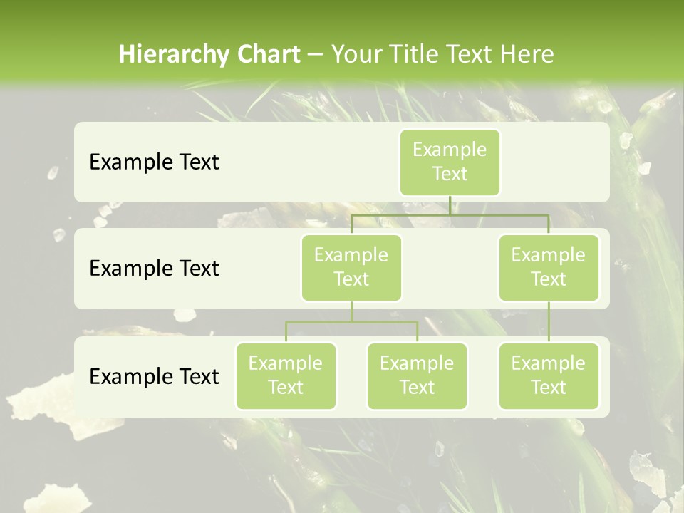 A Plate Of Asparagus With Parmesan Cheese On Top PowerPoint Template