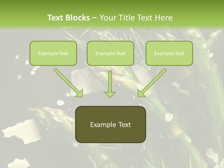 A Plate Of Asparagus With Parmesan Cheese On Top PowerPoint Template