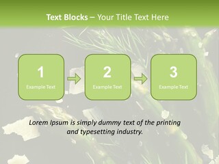A Plate Of Asparagus With Parmesan Cheese On Top PowerPoint Template