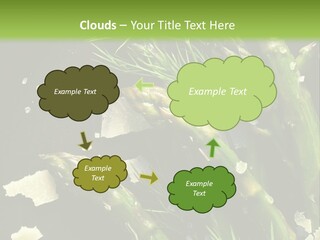 A Plate Of Asparagus With Parmesan Cheese On Top PowerPoint Template