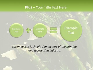 A Plate Of Asparagus With Parmesan Cheese On Top PowerPoint Template