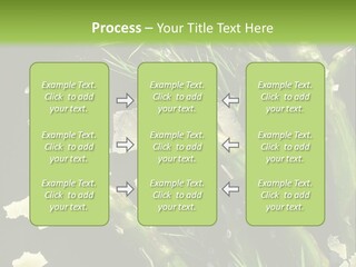 A Plate Of Asparagus With Parmesan Cheese On Top PowerPoint Template