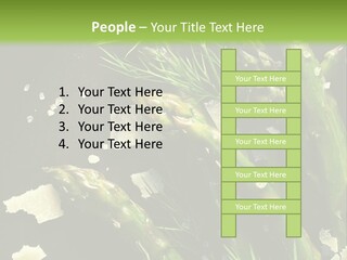 A Plate Of Asparagus With Parmesan Cheese On Top PowerPoint Template